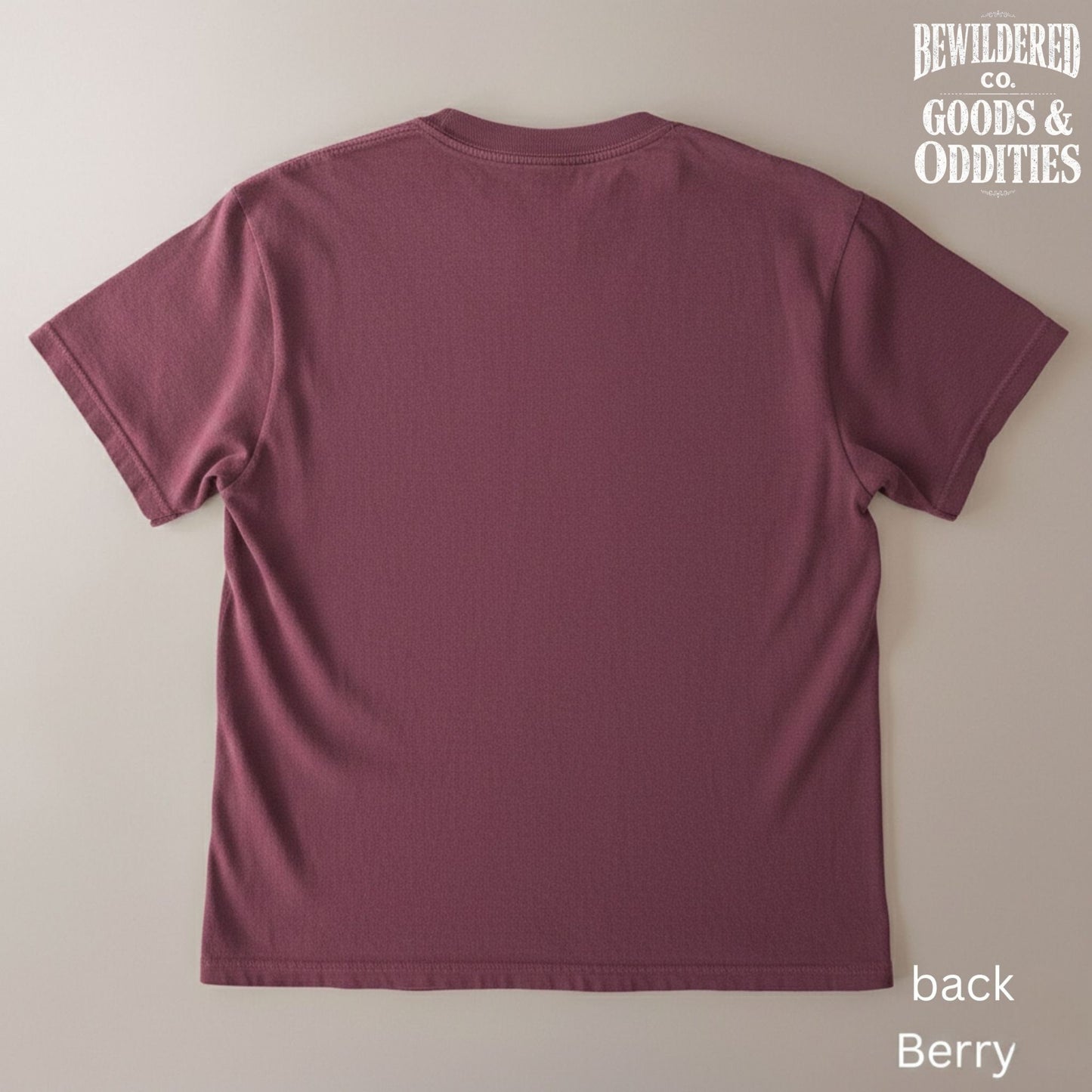 UFO Experiencer T-Shirt